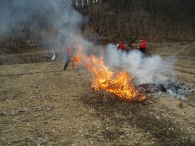 산림연접지 산불발생 요인 사전제거 실시